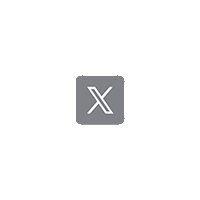 X icon 