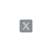 X icon 