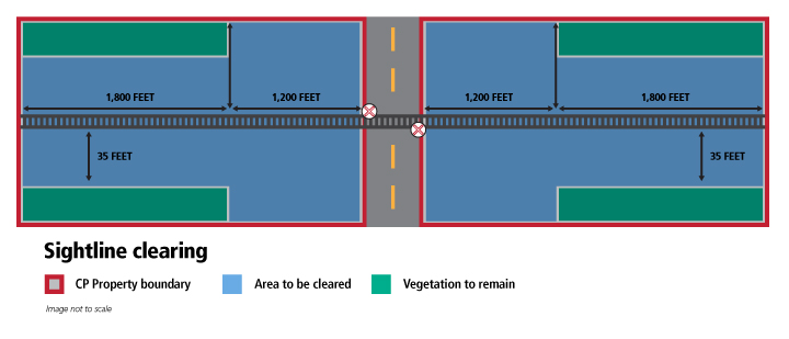 Sightline cleaning infographic.