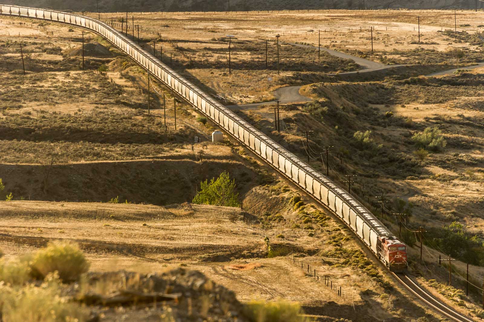 A long train 